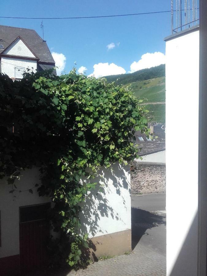 Ferienwohnung-Hallebach Zell an der Mosel Zewnętrze zdjęcie